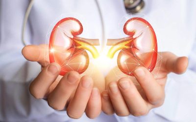 Kidney Health