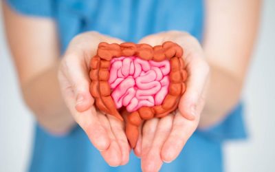 Gut Health